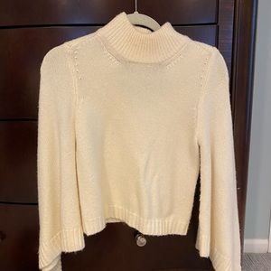 Moth Short Turtleneck sweater